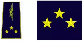 Galon de général de division aérienne de l'Armée de l'Air et de l'Espace