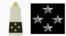 galon_general_corps_armee_legion